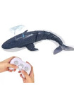 R/c Whale